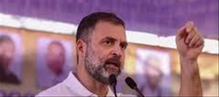 Rahul Gandhi's shares in this company increased 20 times...
