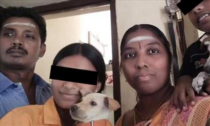 Chennai Man died after electric pole fell on him while feeding street dogs