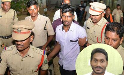 Why YCP blaming TDP for attack against Jagan?