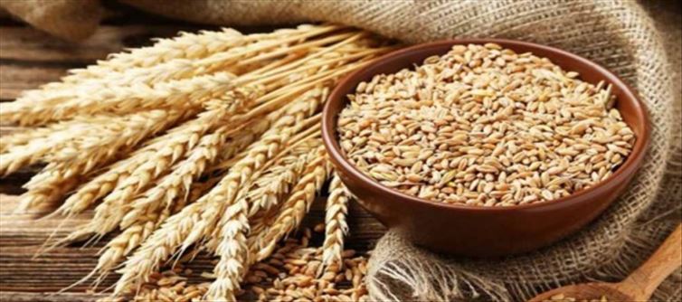 Sudden Ban on Export of Wheat Flour..!?