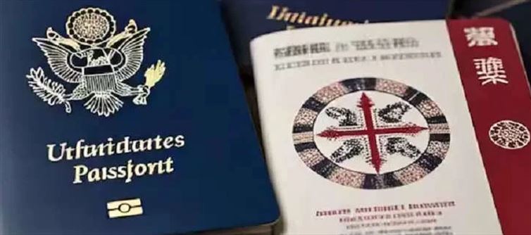 There Are So Many Hues Of Passports In General