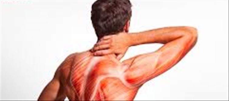 These symptoms including pain in muscles and back can be signs of Yellow Fever