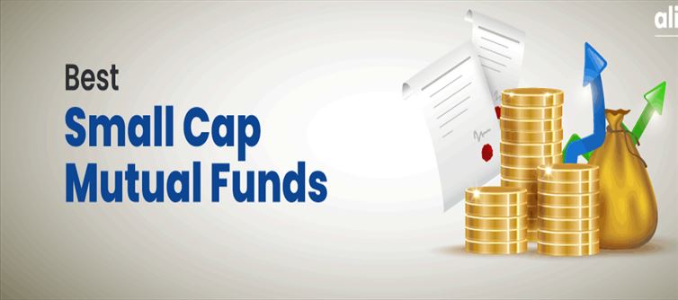 This small-cap fund will outperform the big ones!