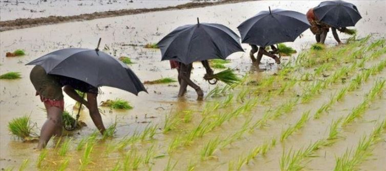 Understand the Difficulties of Farmers during Rainy Seasons..!