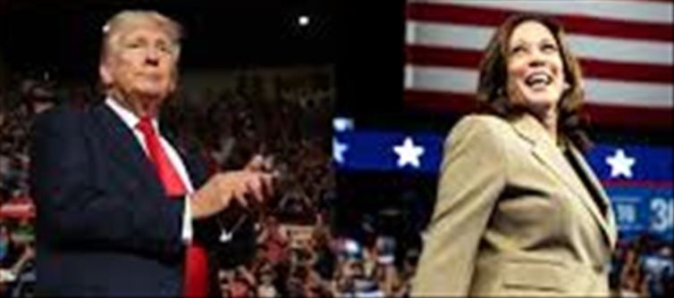 US: How is the President elected?