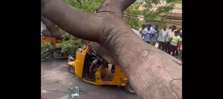 VIDEO - One Dead as Tree Falls on Parked Auto in Telangana Hyderabad