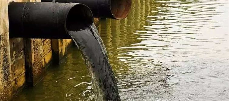 Water Pollution may turn Telangana Hyderabad into another 'Minamata' fear Doctors & Researchers