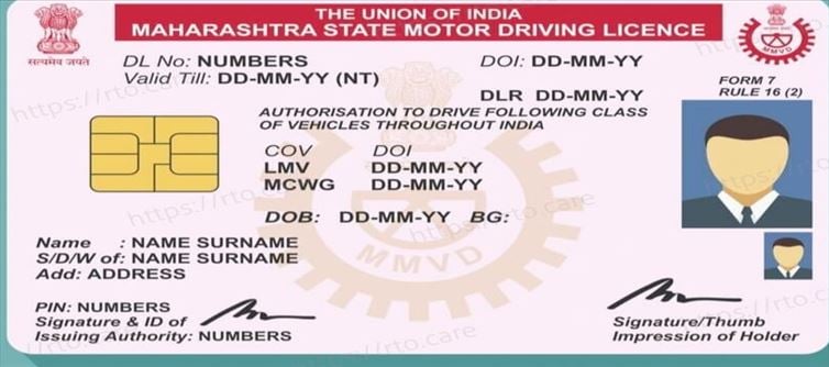 What information is stored in the chip on the driving license?