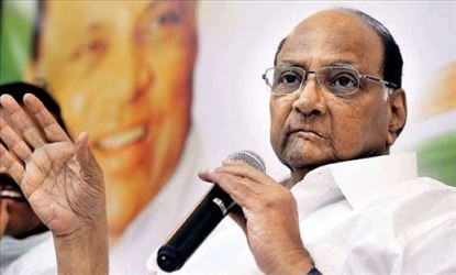 अलमट्टी वादावर कायमचा तोडगा काढावा, चुकीच्या पाणीपातळीमुळे पूरस्थिती गंभीर - शरद पवार