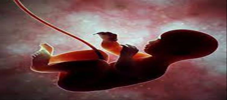 What is the flow of thought of the child in the womb..!?