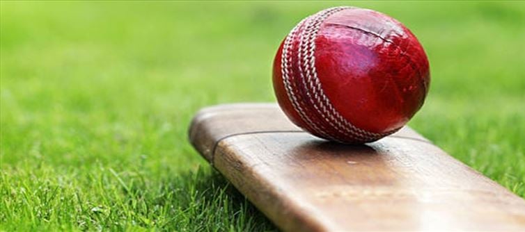 সেরা একাদশ দলেরও নেতৃত্ব পেলেন ভারতের যশ ধুল