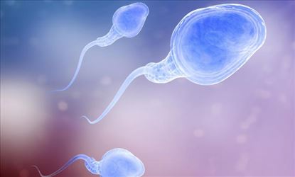 'Sperm On-Off Switch' for birth control !