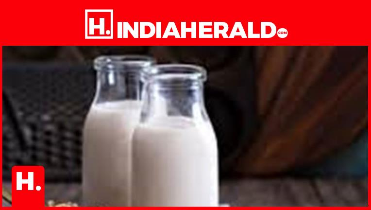 6 Iconic Milk-Primarily Based Drinks