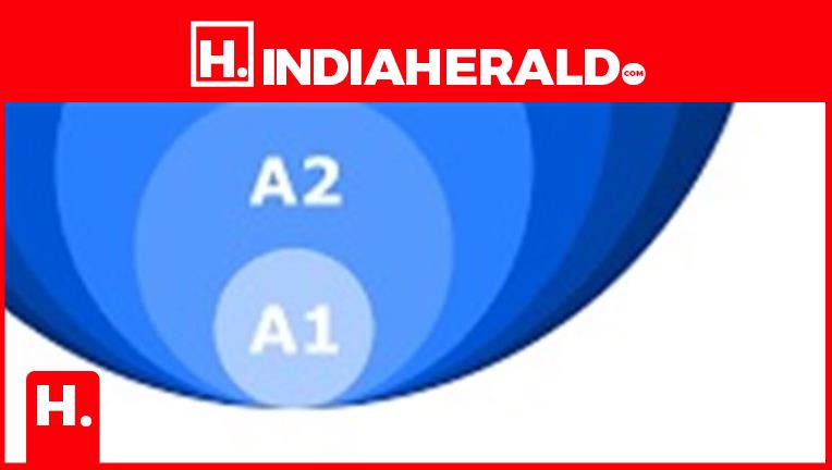 Abc Language Scale What Are A1, A2, B1, B2, C1, C2 in IELTS? CEFR Levels Ex