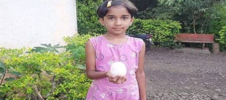 A chicken of Hy-line W-80 breed reportedly laid an egg