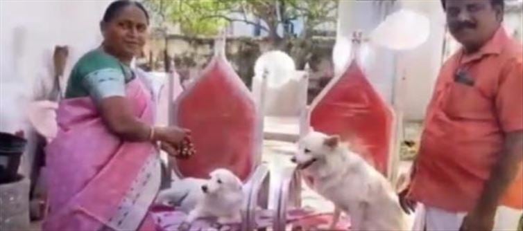 Baby Shower Function for Pet Dog