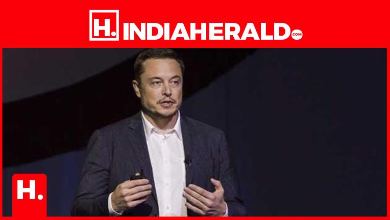 Elon Musk About Indians And Chinese In The USA