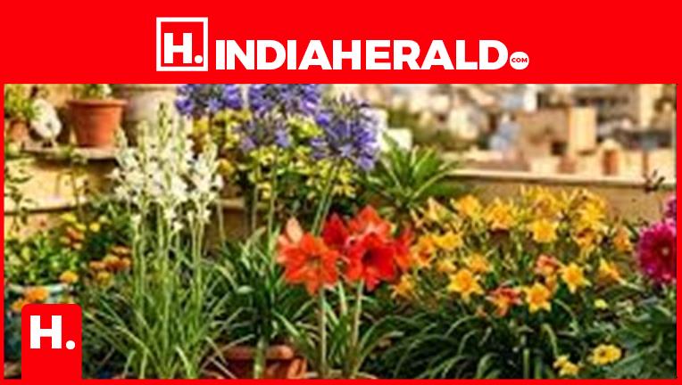 Garden Care Tips: Keep Your Plants Lush and Green Even in Scorching Heat