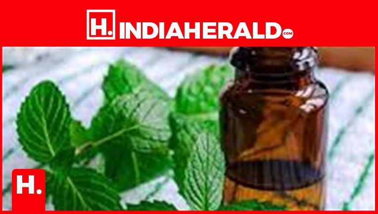 Health Hacks: Easy Home Remedies and Homeopathy Tips for Full Seasonal Wellness