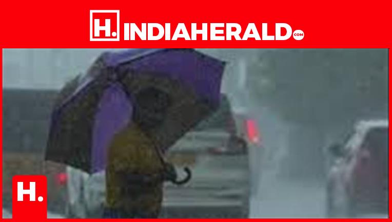 Heavy Rain Likely in 6 Districts of Tamil Nadu Today: Meteo