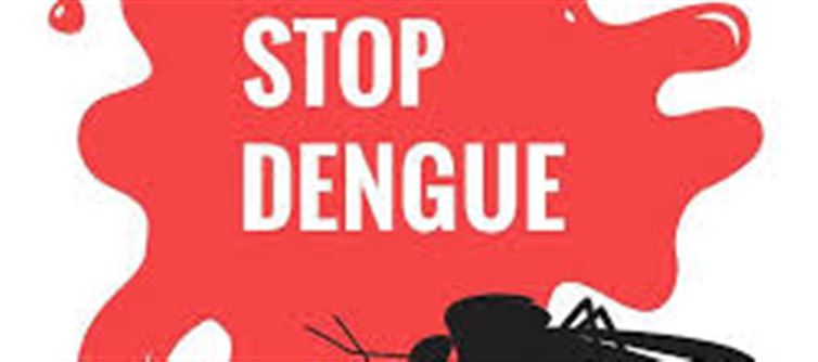 How to Prevent Dengue? let’s see here!
