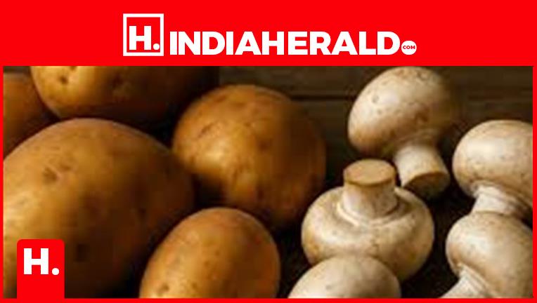Kolkata Researchers Convert Potato, Fungi To Protein.