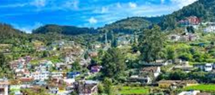 "Solo In Ooty? Discover Eight Unique Experiences."
