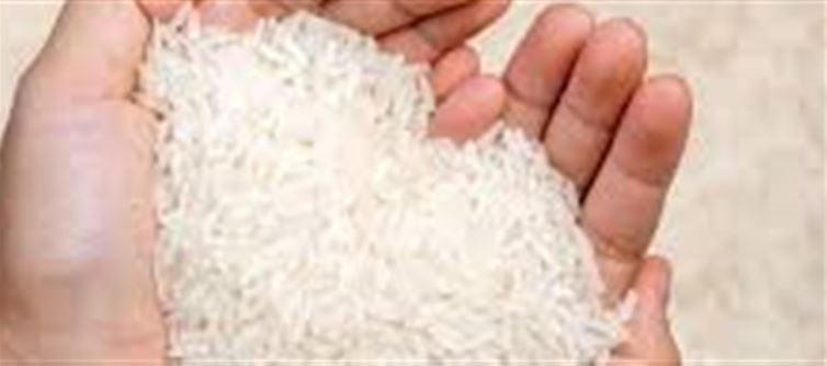 Vastu Tips: Unlock Wealth in Your Home with a Handful of Rice