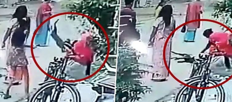 వైరల్ : ఇంత దారుణమా.. పెంపుడు కుక్కను నేలకేసి కొట్టిన మహిళ?