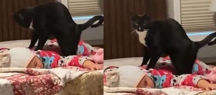 Viral Video: బేబీకి చక్కగా మసాజ్ చేస్తున్న పిల్లి!
