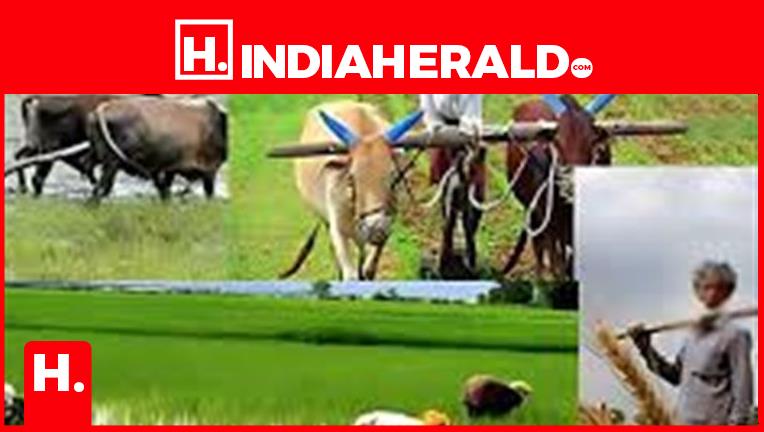 What Are The Schemes For Farmers In Tamil Nadu?