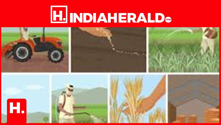 What Are The 7 Steps Of Farming?
