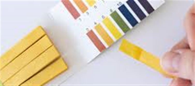 What Is the Ideal pH Level for Drinking Water? Low-Cost Ways to Check Water Safety at Home