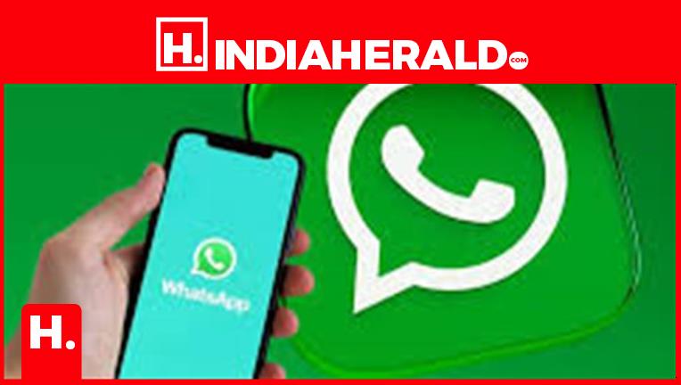 WhatsApp Organization Statuses