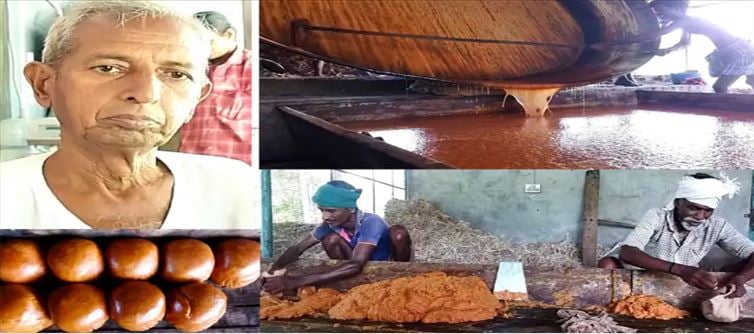 Farmer's success story..! Profit in millions on Country sugar..!