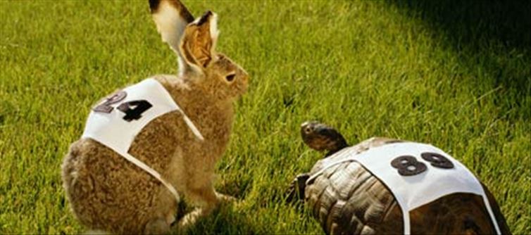 విజయం మీదే: ఓపికతో విజయాన్ని సాధించు...!