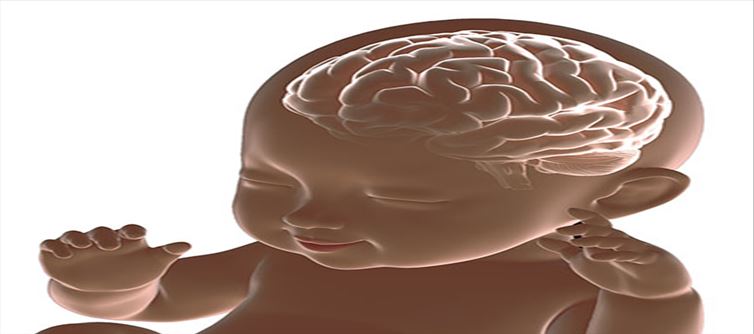 Does it cause brain damage to the baby if covid hits pregnancy?