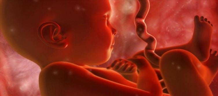 Habits that affect fetal development..